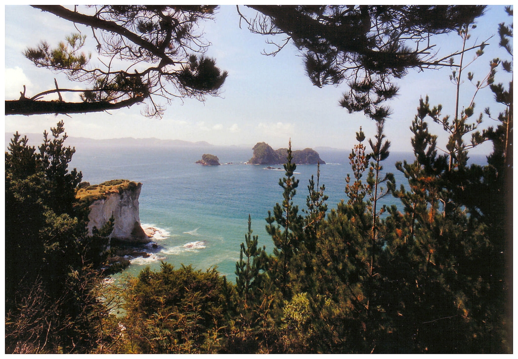 08 - Whangarei (6).jpg